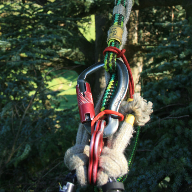 Klemmknotensystem Baumfällung - Morbach Baumpflege
